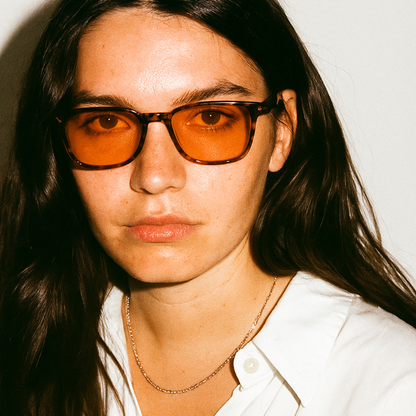 Nocturnal | Tortoise