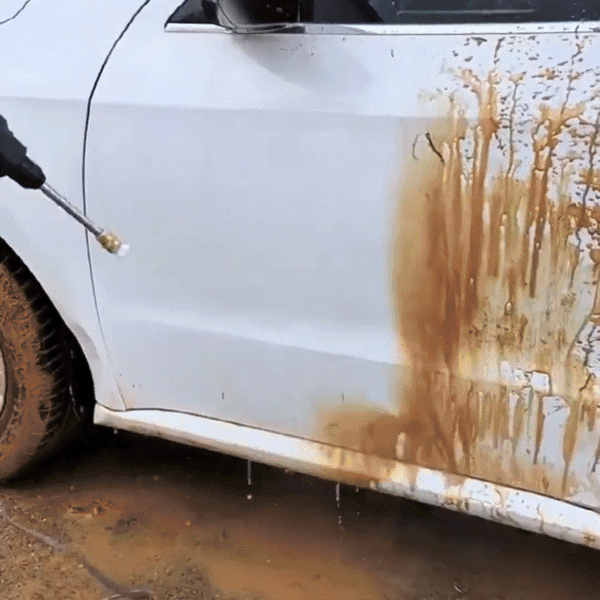 Pistola de Limpieza PowerClean PRO